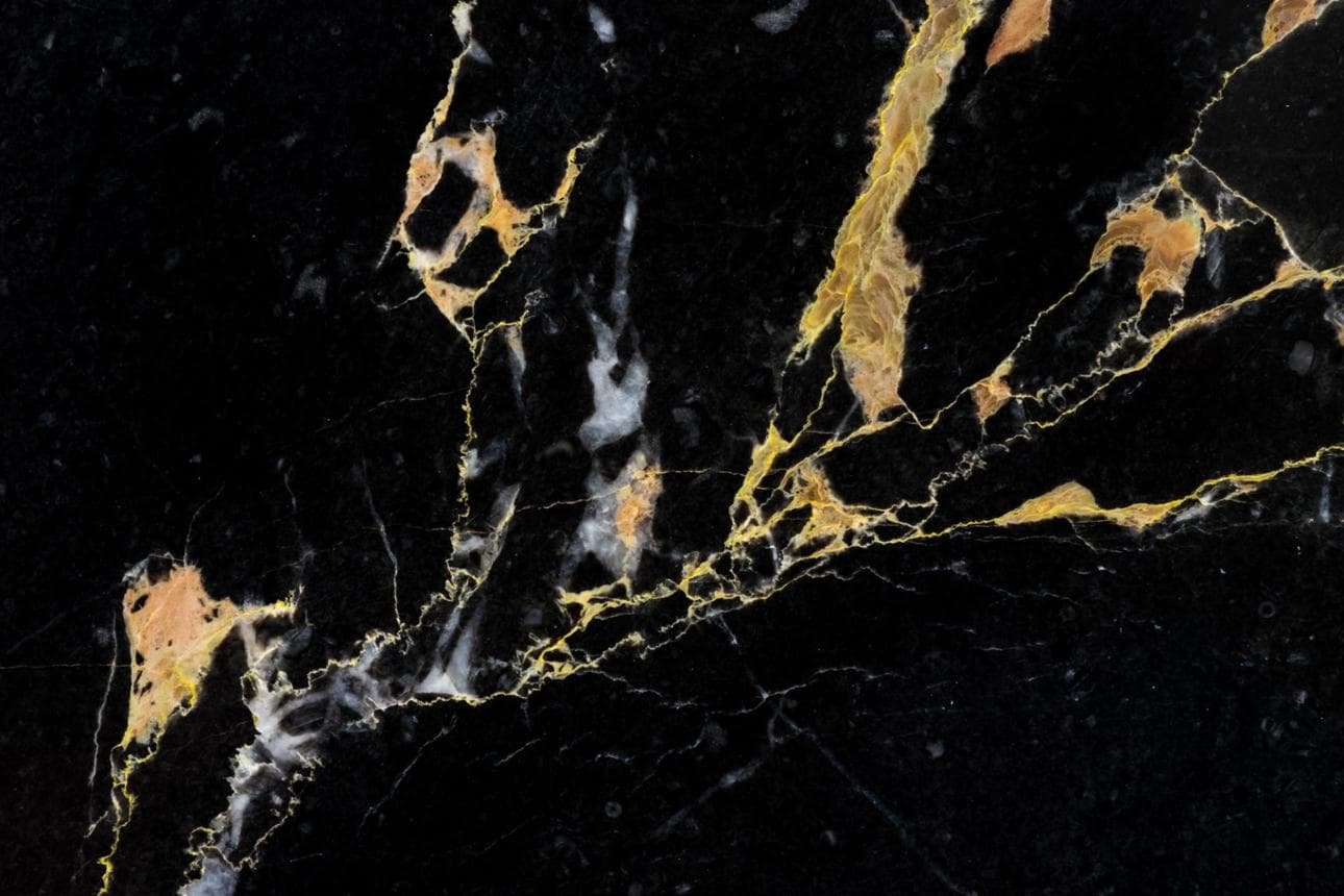 Luxurious black pearl oyster presentation with golden accents