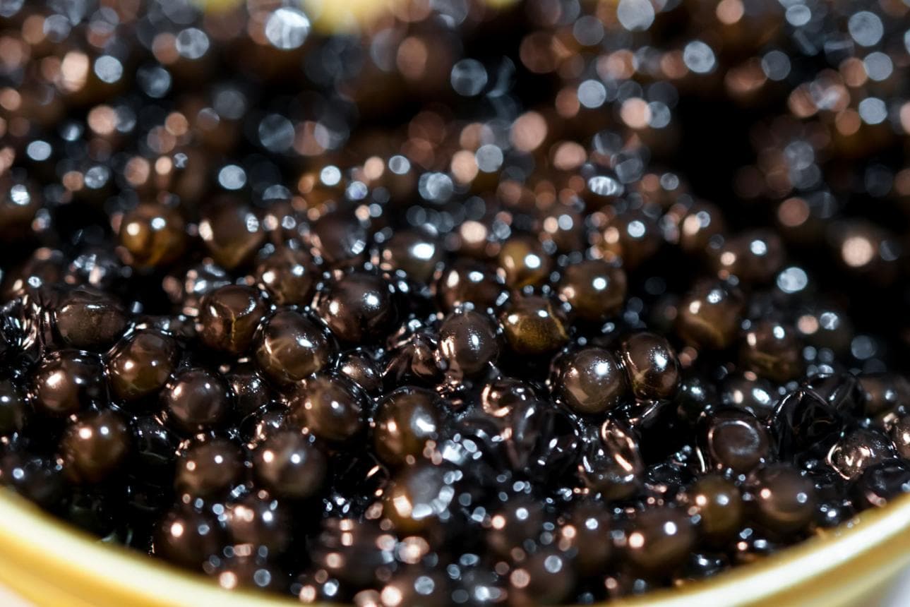 Premium caviar