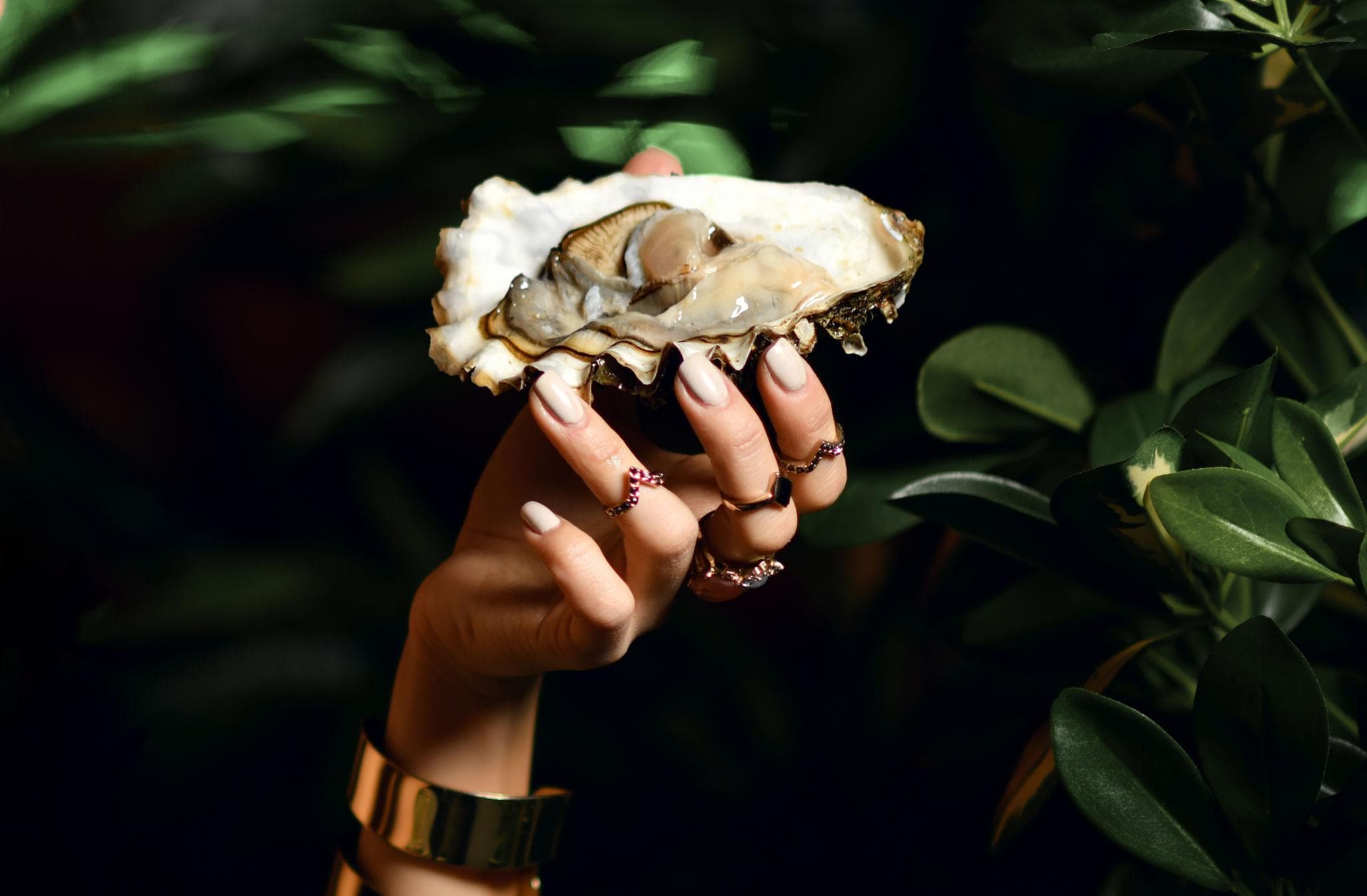 Black Pearl Society — close-up of a fresh oyster on ice, dramatic low-light photography